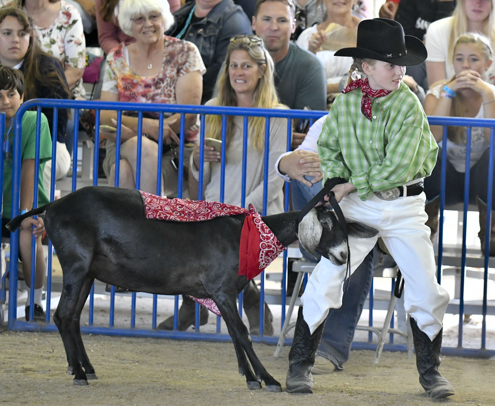071118 County Fair Costumes 03.jpg